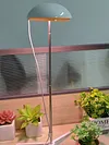 Full Spectrum Grow Lights Height Adjustable Plant Growing Lamp for Indoor Plants