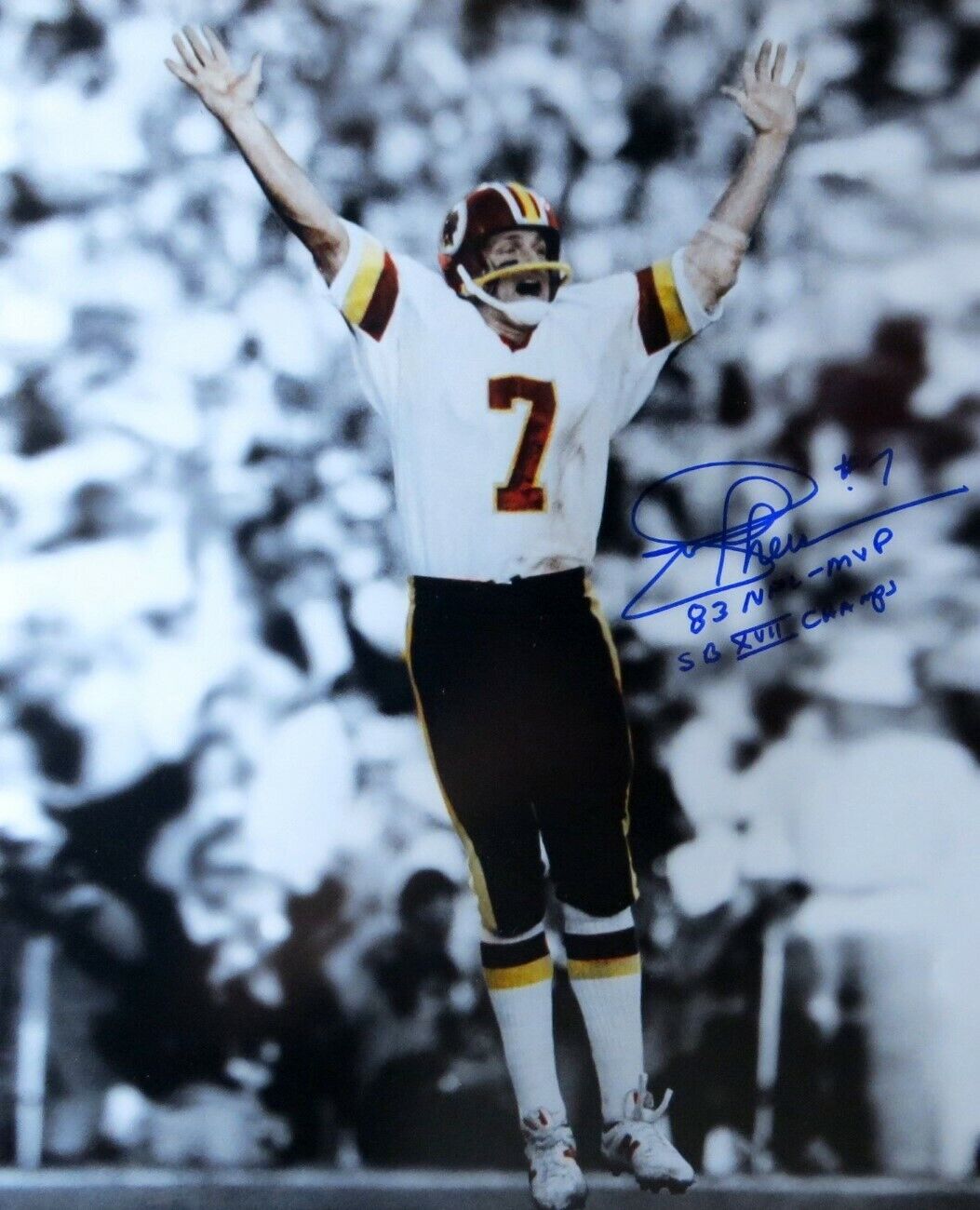 Joe Theismann Autographed 16X20 Photo Poster painting Washington 83 NFL MVP SB XVII Champs COA