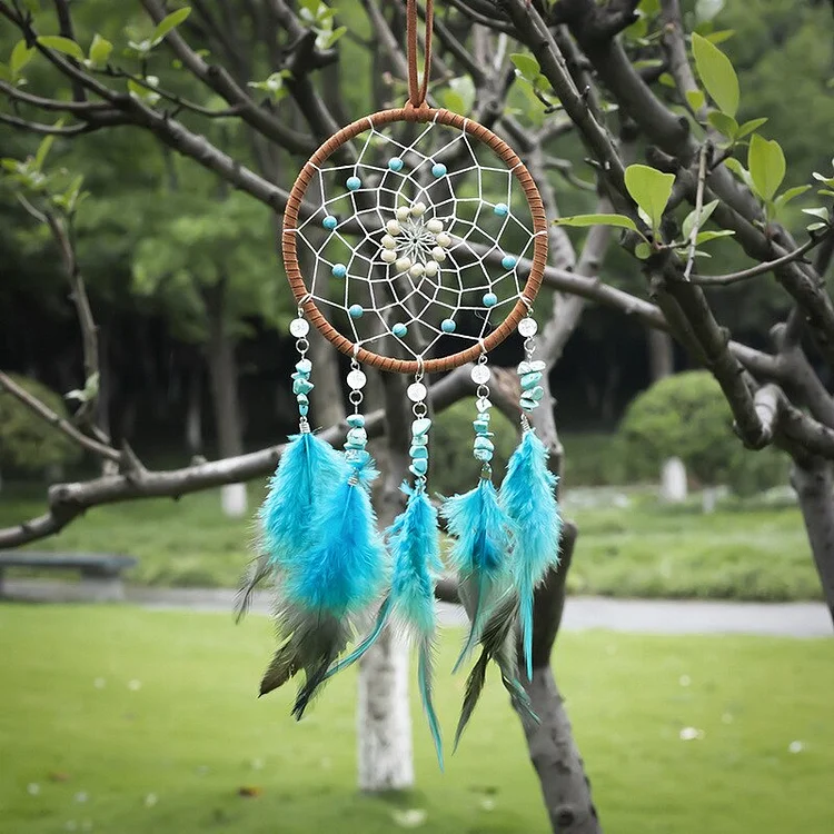 Dream Catcher DR-283