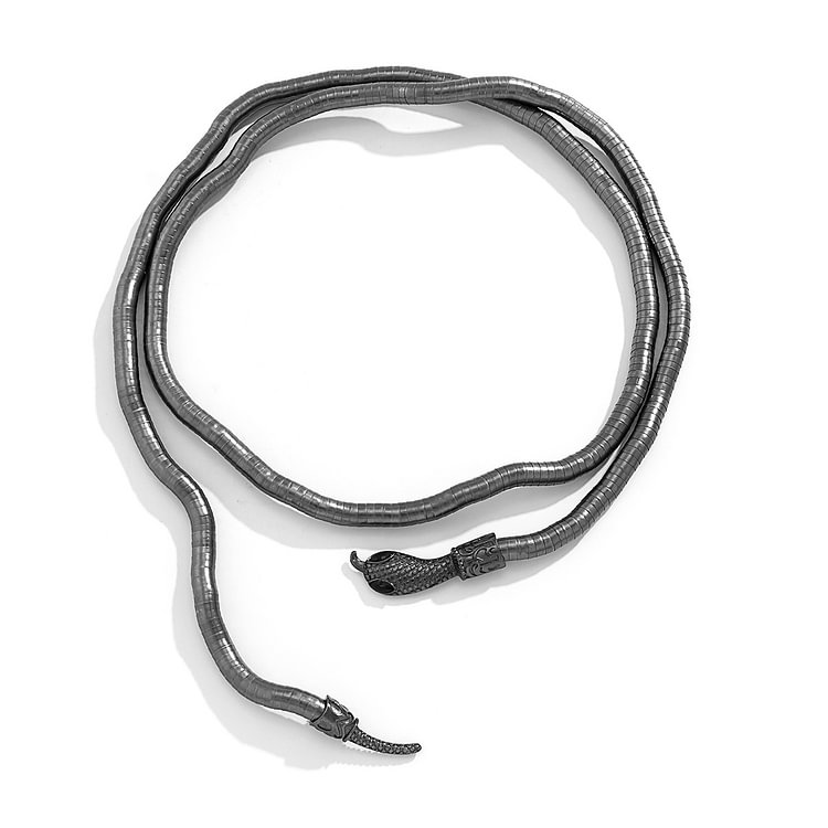 Men's New Retro Winding Snake Neck Chain Clavicle Chain