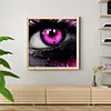 uk.everydayedeals (Limited Stock)Paint By Number - Oil Painting -  Eye (40*40Cm)