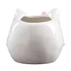 [US Local Warehouse] Cat Ceramic Succulent Pot Bonsai Container Resin with Drain Hole for Home Office