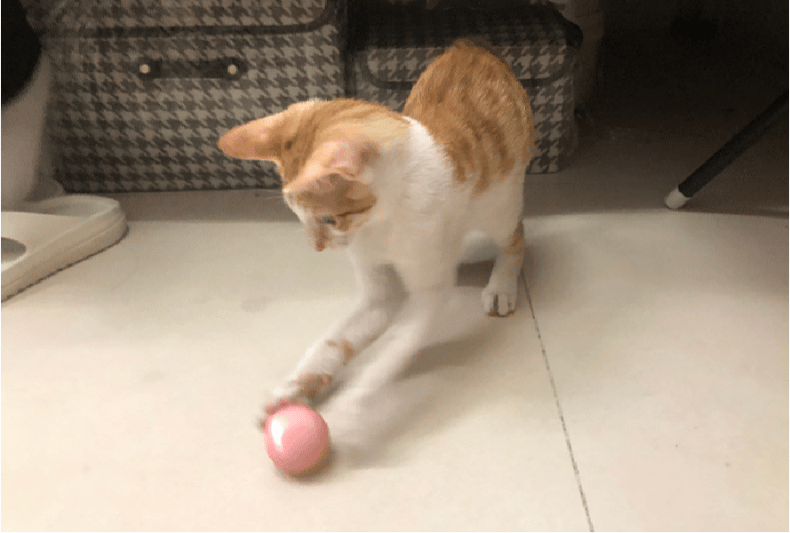 Self-Moving Ball