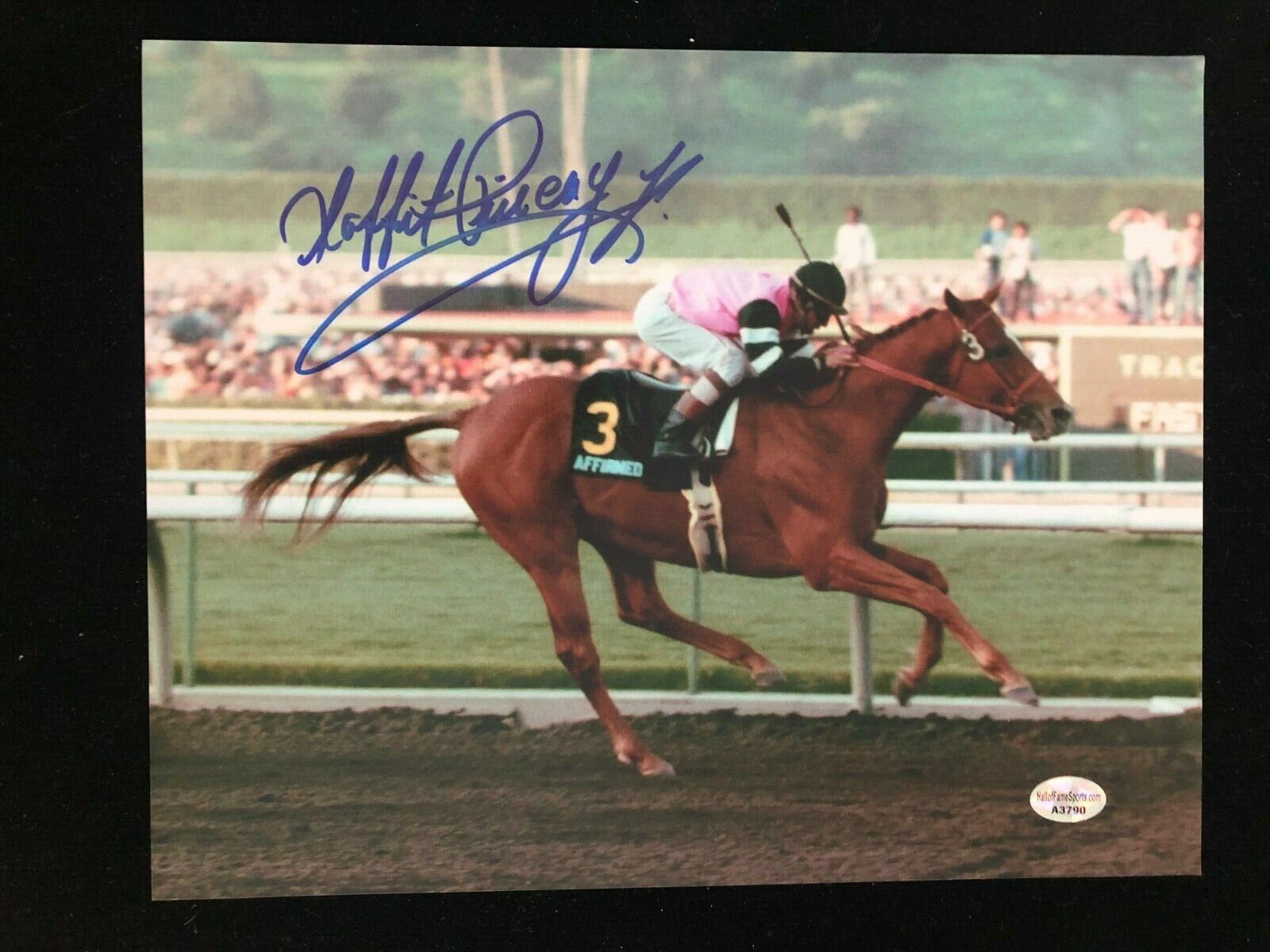 Laffit Pincay Signed Autographed Photo Poster painting - 1989 Hollywood Gold Cup Affirmed - COA