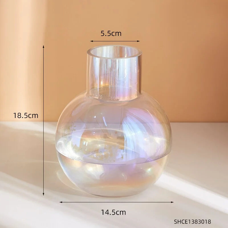 Transparent Round Glass Vase Colorful Vase Glass Container Modern Home Decor Living Room Table Decor Accessories Balcony Decor