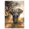 Elephant | Full Round/square Diamond Painting Kits | 50x70cm