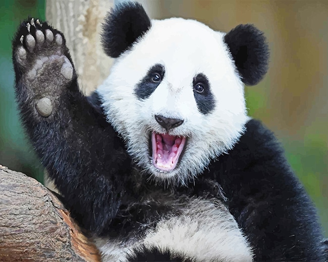 

Happy Panda – Paint By Numbers - 40*50CM, 501 Original
