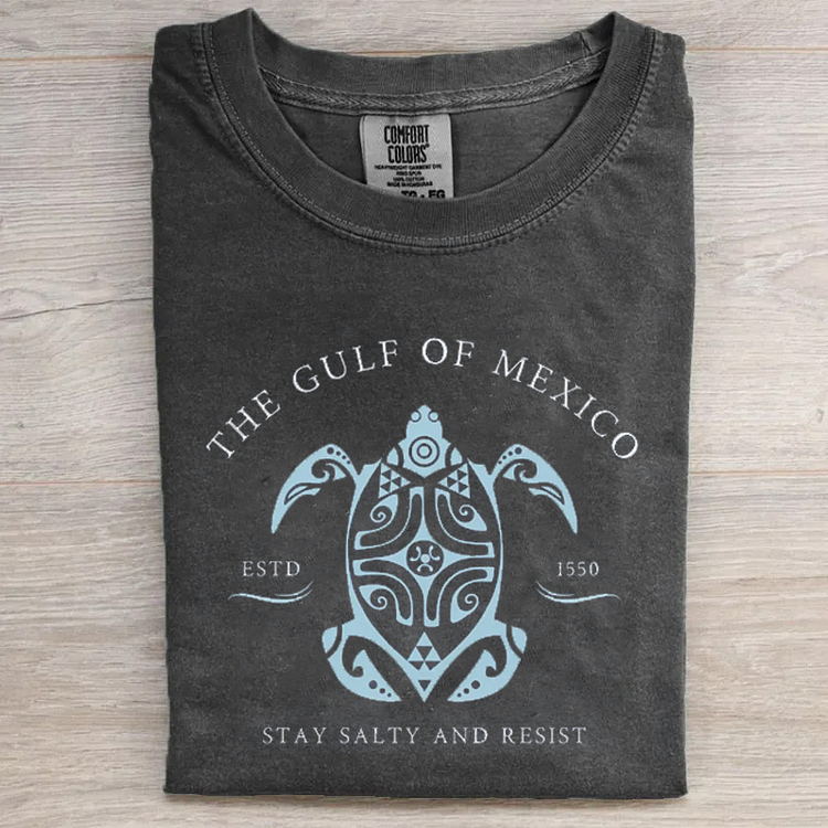 Comfort Colors Gulf of Mexico T-shirt/Sweatshirt