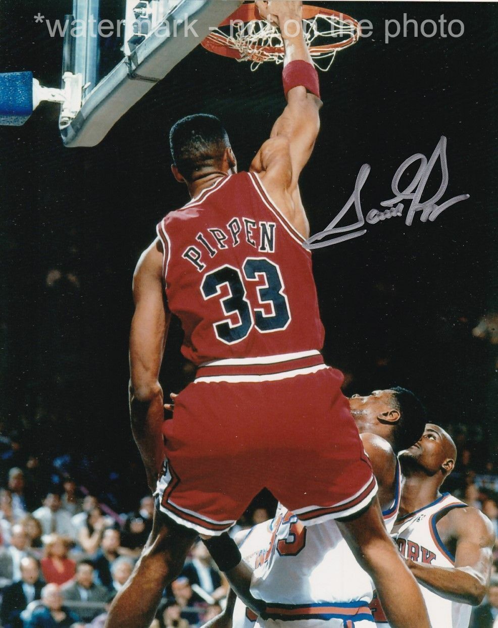 SCOTTIE PIPPEN SIGNED AUTOGRAPH 8X10 Photo Poster painting CHICAGO BULLS