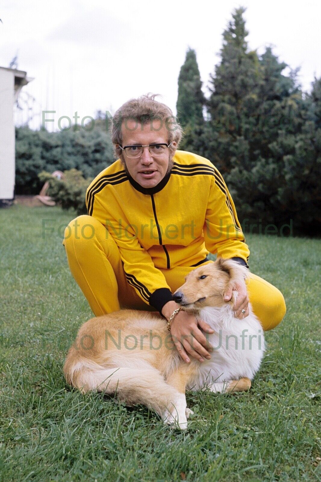 Dieter Thomas Rear - Dog Collie - Photo Poster painting 20 X 30 CM Without Autograph (Nr 2-2