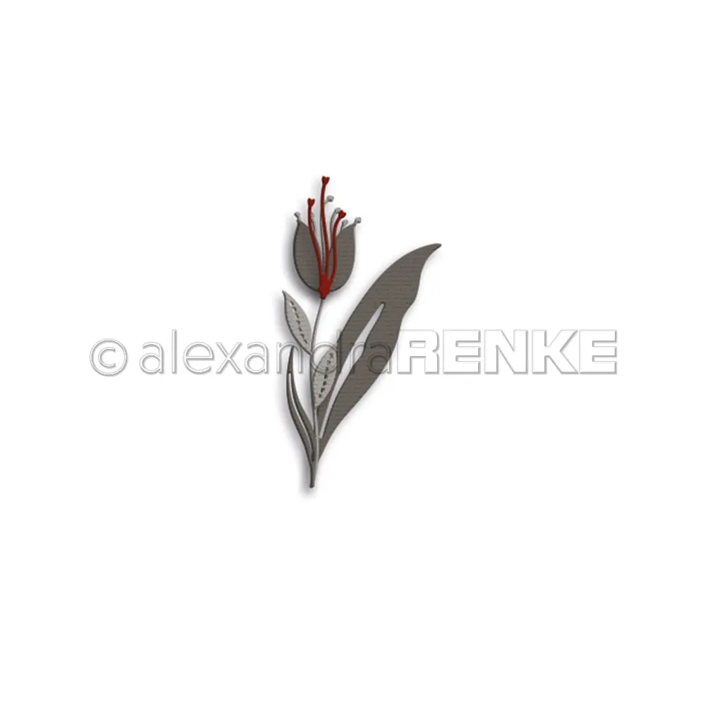Piggy Craft metal cutting dies cut die mold 2021 Flower leaf series Scrapbook paper craft knife mould blade punch stencils dies