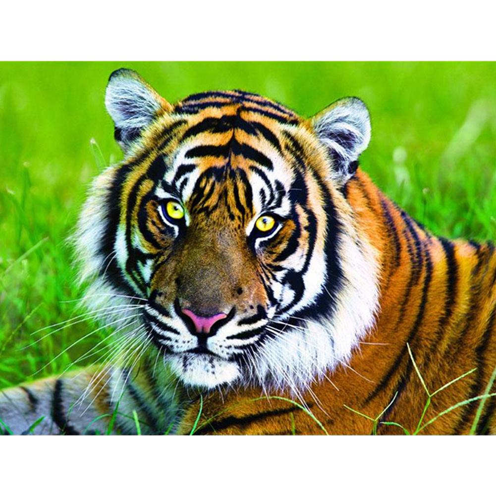 

40*30CM-Round Drill Diamond Painting-Tiger, 501 Original