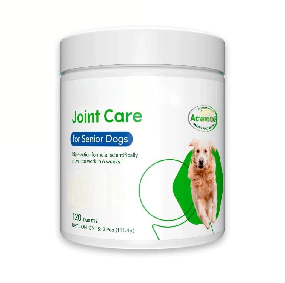 Joint Care for Senior Dogs
