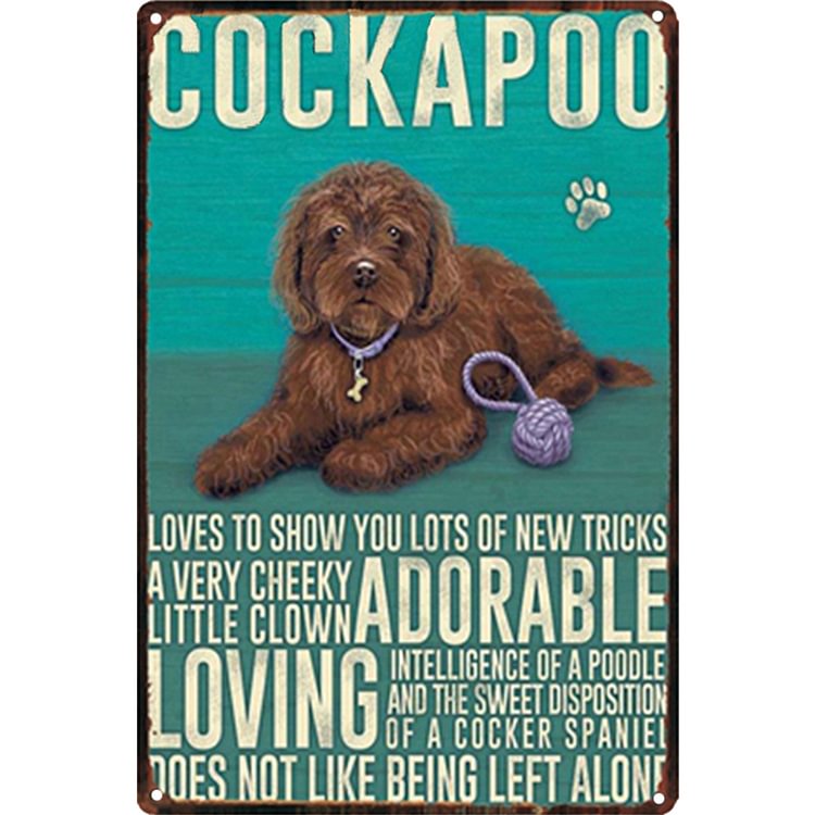 Cockapoo Adorable Loving - Vintage Tin Signs/Wooden Signs - 7.9x11.8in & 11.8x15.7in
