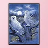 Owl-11CT Stamped Cross Stitch-40*50cm
