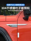 适用于坦克300改装叶子板侧标运动车贴魏派车个性车身装饰条配件