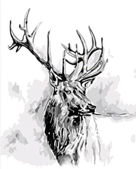 

Deer in Black and White – Paint By Numbers - 40*50CM, 501 Original