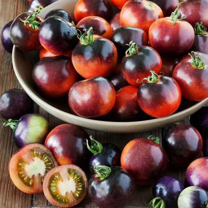 Tomato-Indigo-Rose Jonyparkseed®