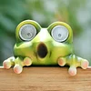 Cute Hanging Solar Frog
