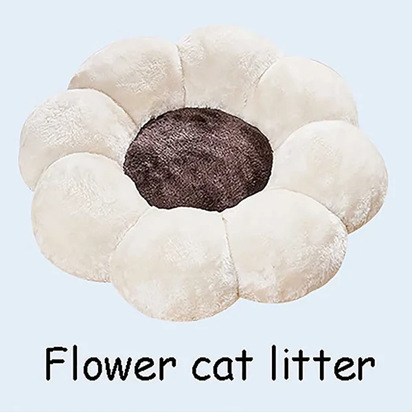 Spring Limited Discount 