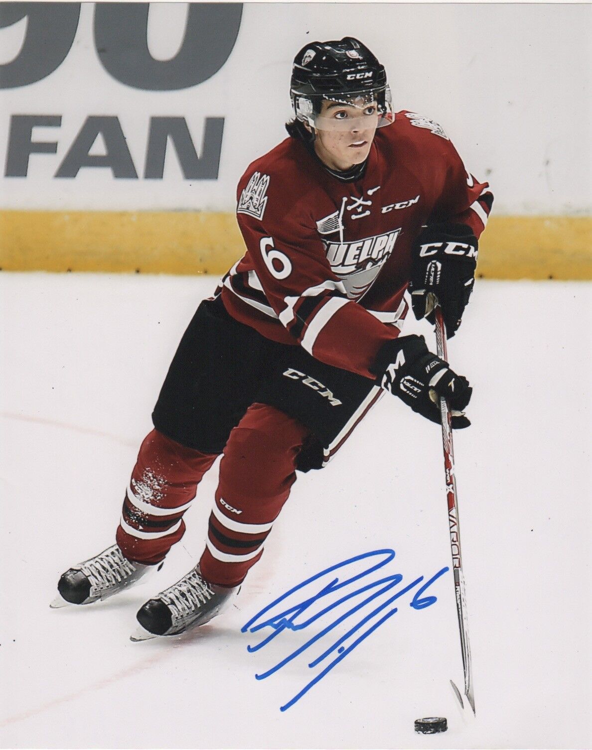 Guelph Storm Ryan Merkley Autographed Signed 8x10 Photo Poster painting COA