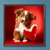 Love Dog Cat-Full Round Diamond Painting 30*30CM