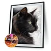 Diamond Painting-DIY Full Round Drill Cat