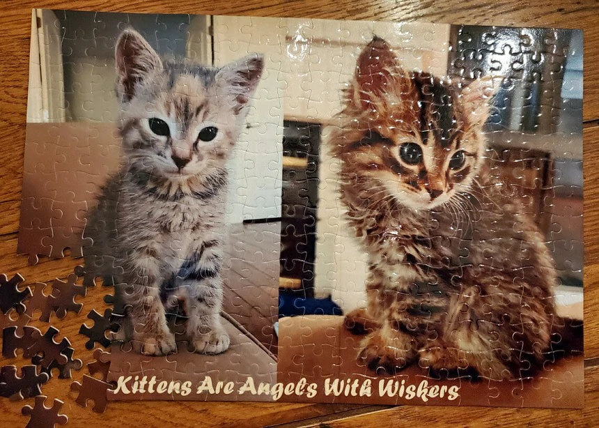 How to Design a Personalized Pet Puzzle: Step-by-Step Guide