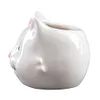 [US Local Warehouse] Cat Ceramic Succulent Pot Bonsai Container Resin with Drain Hole for Home Office