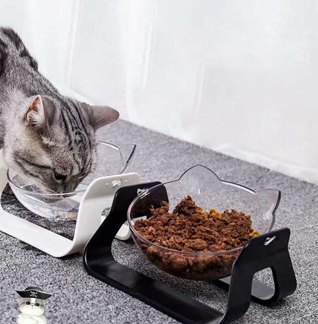 best cat bowls to prevent vomiting