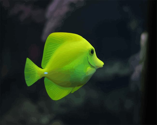 

Green Fish Aquarium – Paint By Numbers - 40*50CM, 501 Original