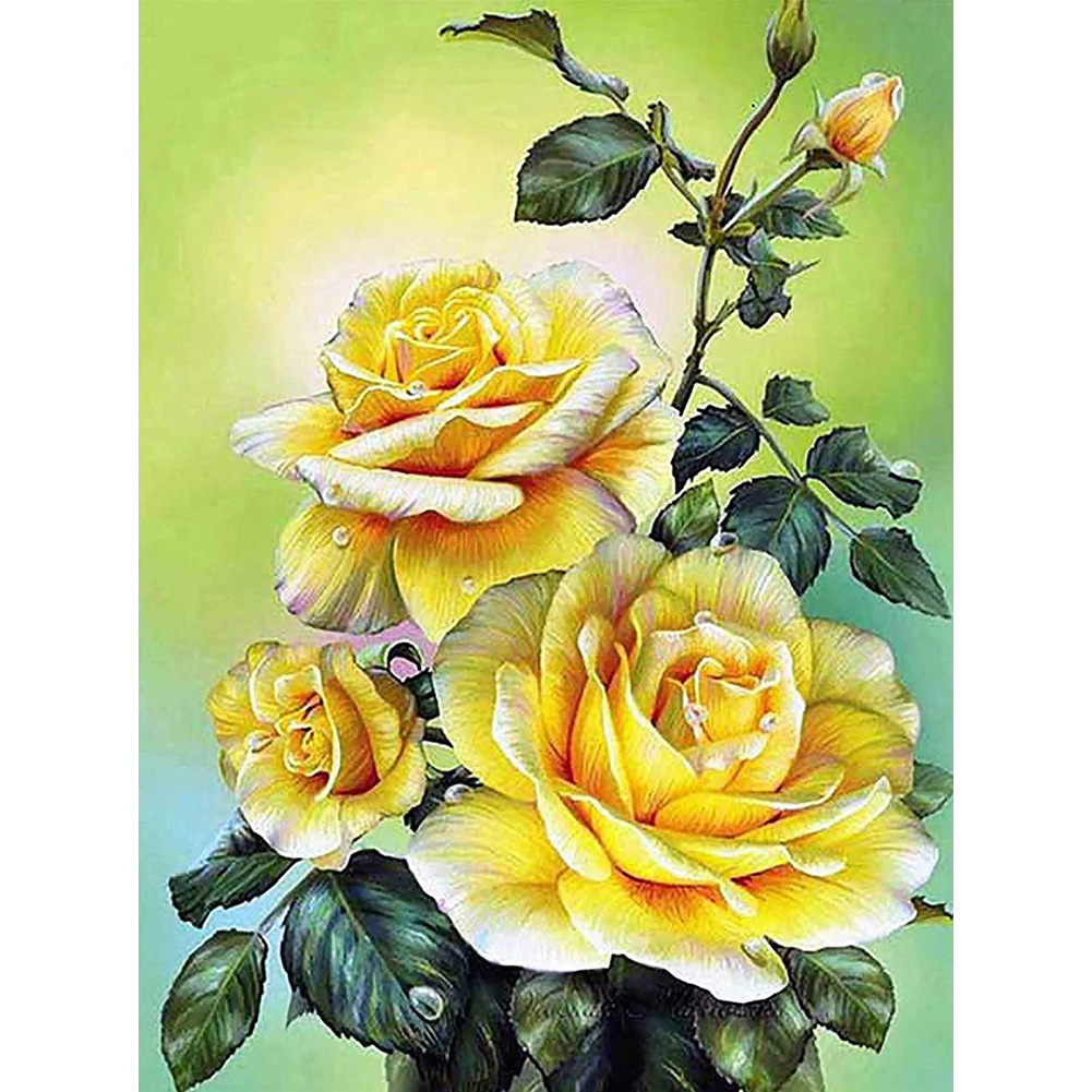 

30*40CM - Square Drill Diamond Painting - Flower, 501 Original