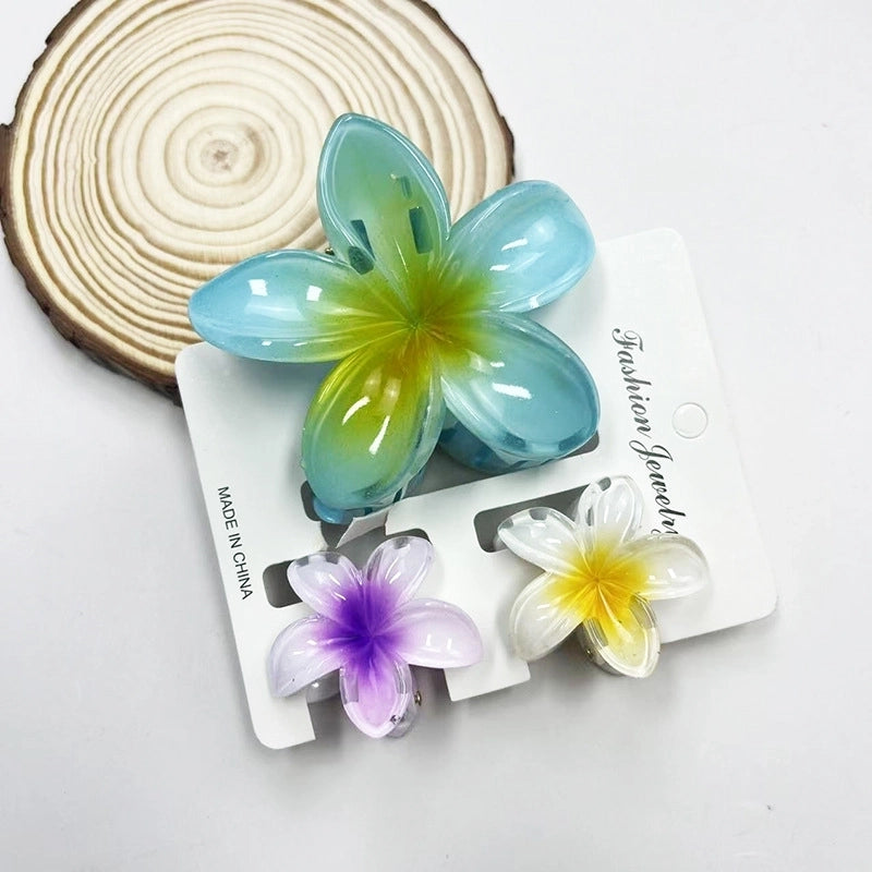 Vacation Modern Style Women’s Flower Resin Hair Claws