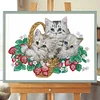 Diamond Painting-DIY Crystal Rhinestone Flower Cat
