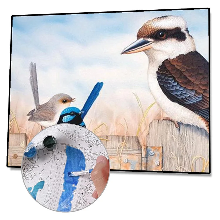 Australian Kookaburra - Painting By Numbers - 50*40cm