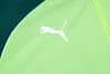 Joyfball 2024/2025 Palmeiras Long Zipped Jacket Green Football Shirt 1:1 Thai Quality
