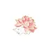 Happy Flower Cloud