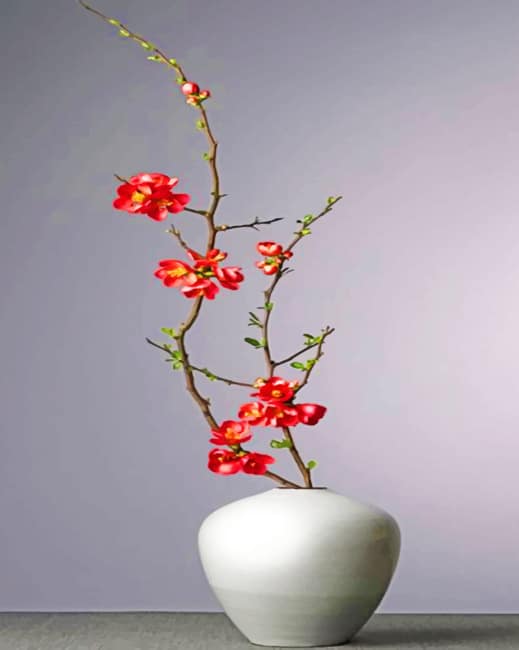 

Aesthetic White Vase With Red Flowers – Paint By Numbers - 40*50CM, 501 Original