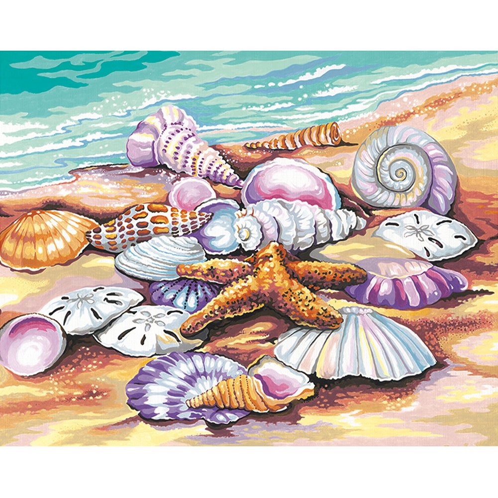 DIY Painting By Numbers Beach shells 40*50cm