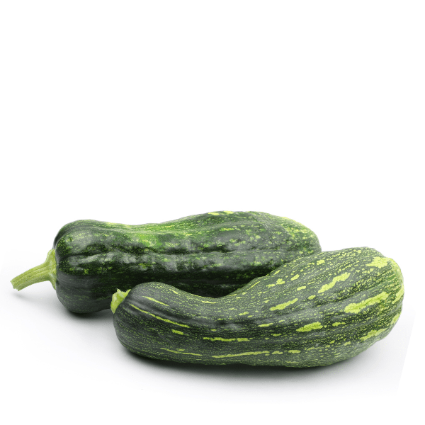 Pumpkin Naples Squash Seeds &ndash; Long Fruit, Sweet Flesh & High Yield