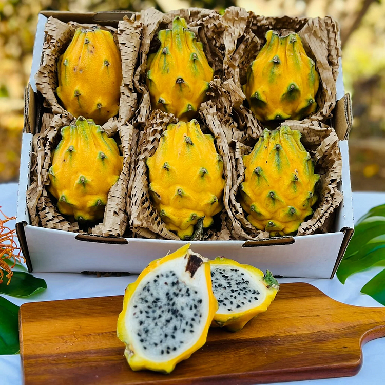 Yellow Pitahaya Seeds