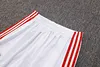 Joyfball 2025/2026 Bayern Munich Long Zipped Jacket 125-Year Anniversary White Football Jersey 1:1 Thai Quality 