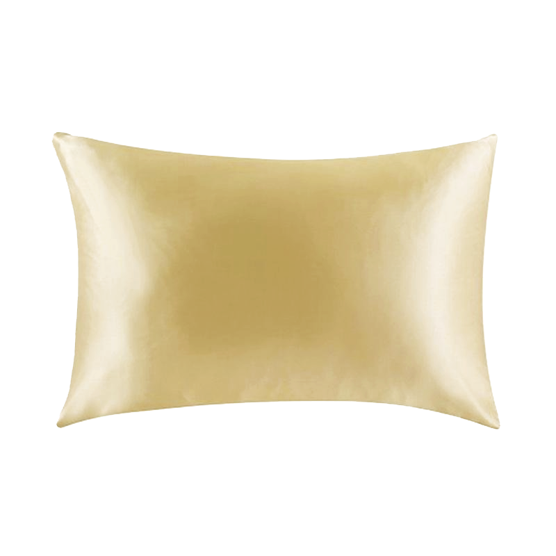 25 Momme Both Sides In Mulberry Silk Pillowcase REAL SILK LIFE