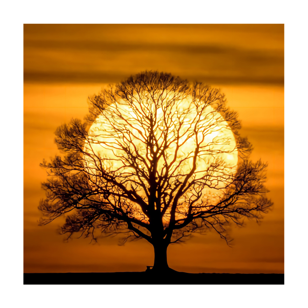 

Moon Tree - Round Drill Diamond Painting - 30*30CM, 501 Original