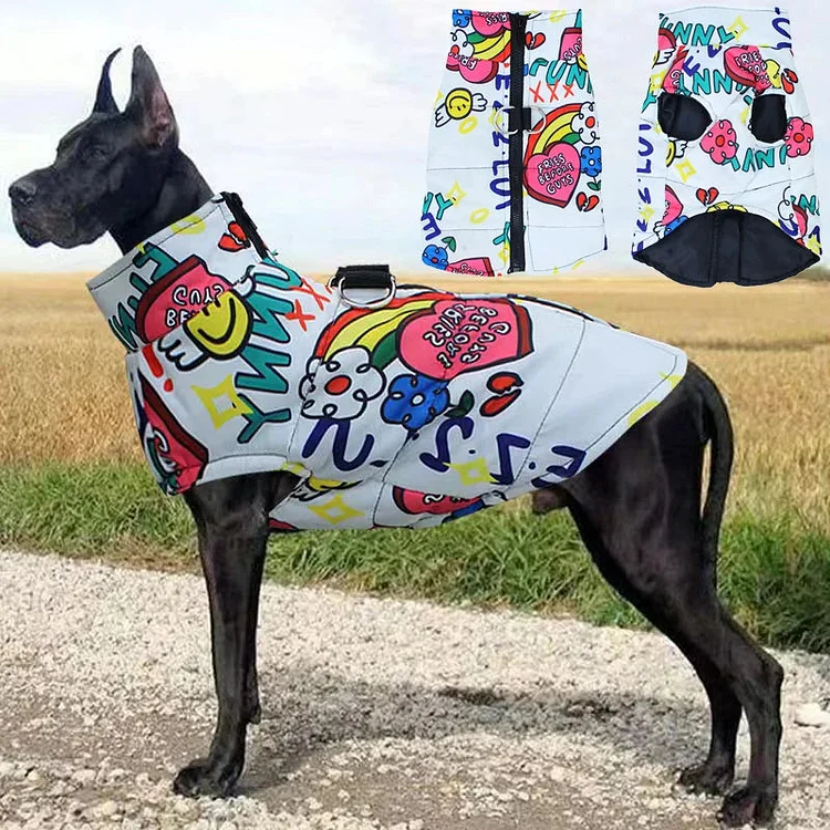 Colorful Waterproof Dog Jacket
