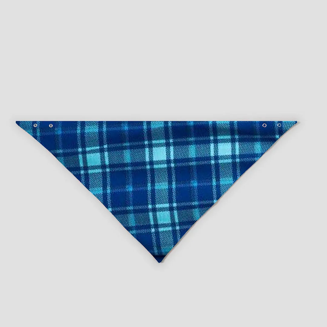 Red Santa Hat "Merry Christmas" Letter Print Blue Long Sleeves Top with Blue and Green Plaid Pants Family Matching Pajamas