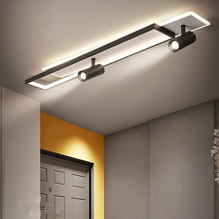Haney Modern Geometric Ceiling Light with Spotlight