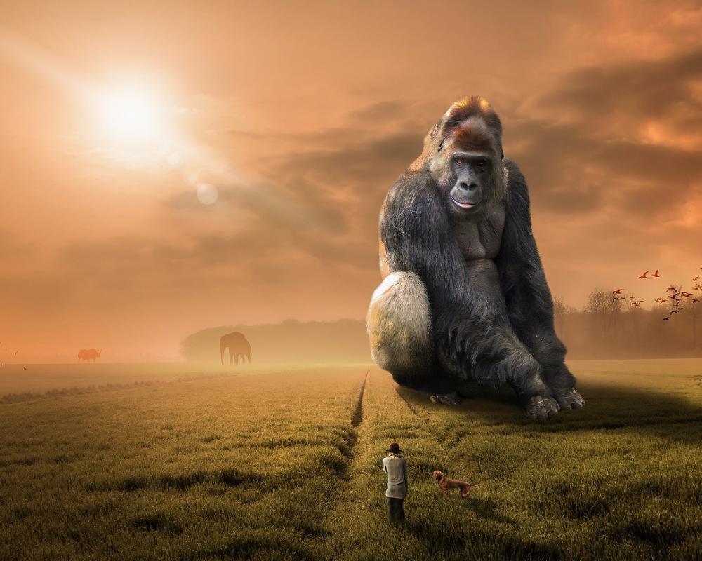 

King Gorilla – Paint By Numbers - 40*50CM, 501 Original
