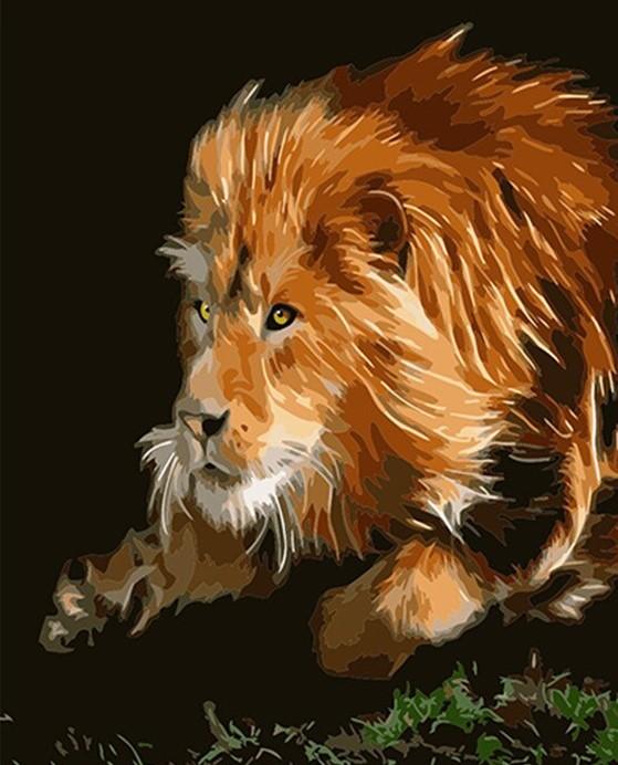 

Lion The King of the Fores – Paint By Numbers - 40*50CM, 501 Original