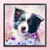 Border Collie Dog-11CT Stamped Cross Stitch 40*40cm